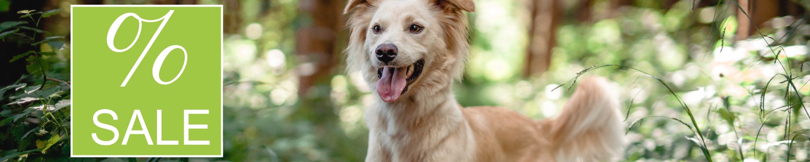 Sonderangebote und Sparpakete Hundefutter