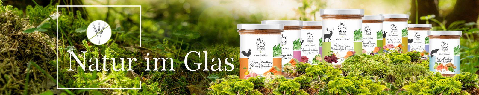 Hundefutter Menüs im Glas