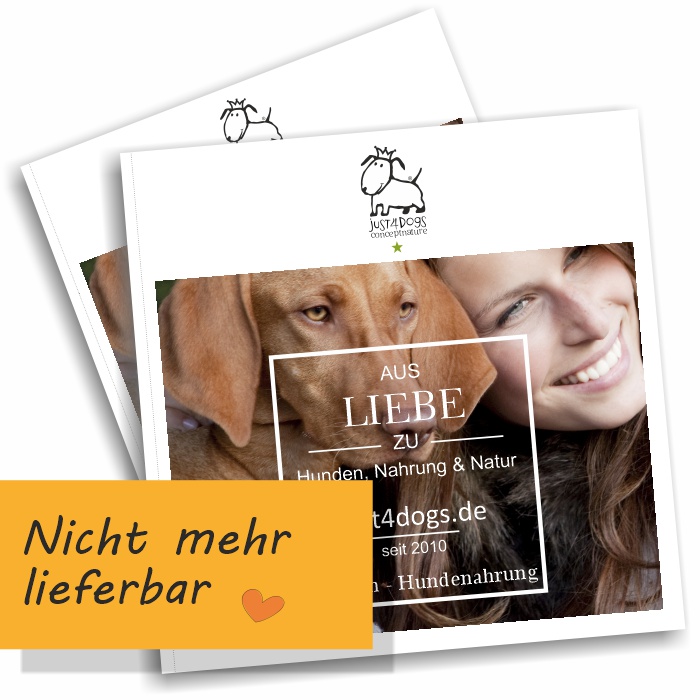 Katalog