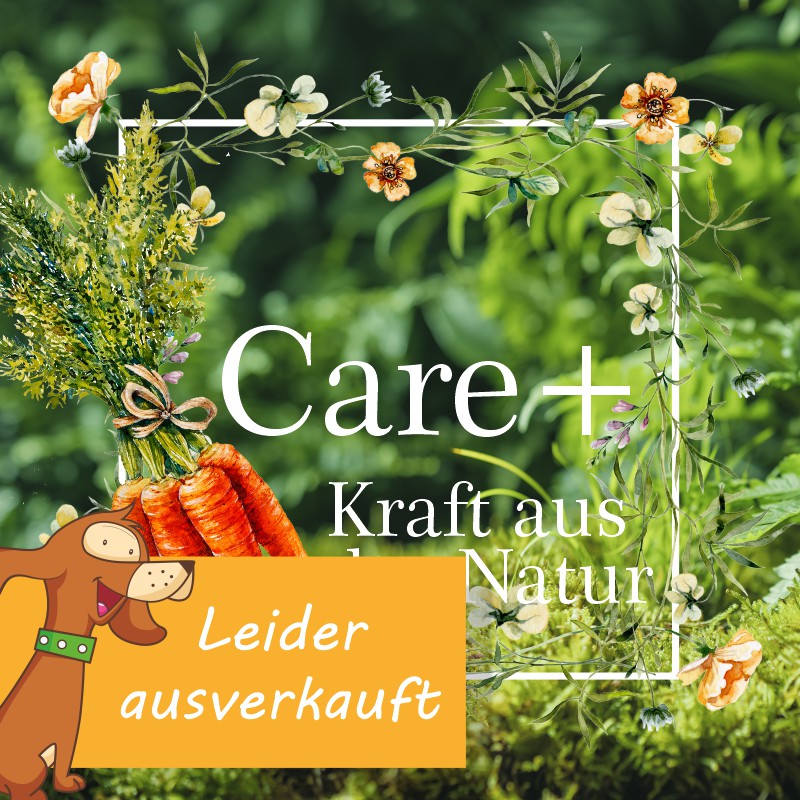 Hochwertige Futterergänzung aus der Natur für Hunde