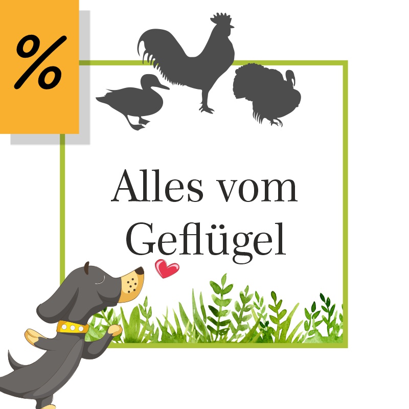Hochwertiges Hundefutter und Kauartikel vom Geflügel