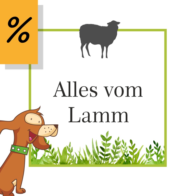 Hochwertiges Hundefutter und Kauartikel vom Lamm
