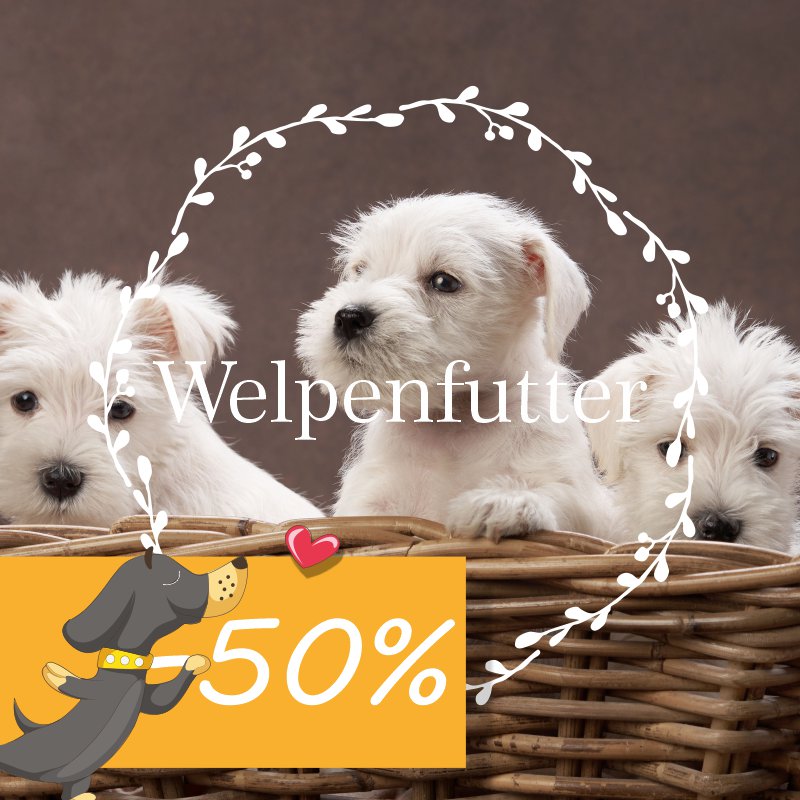 Welpenfutter für Hunde ab der 8ten Woche