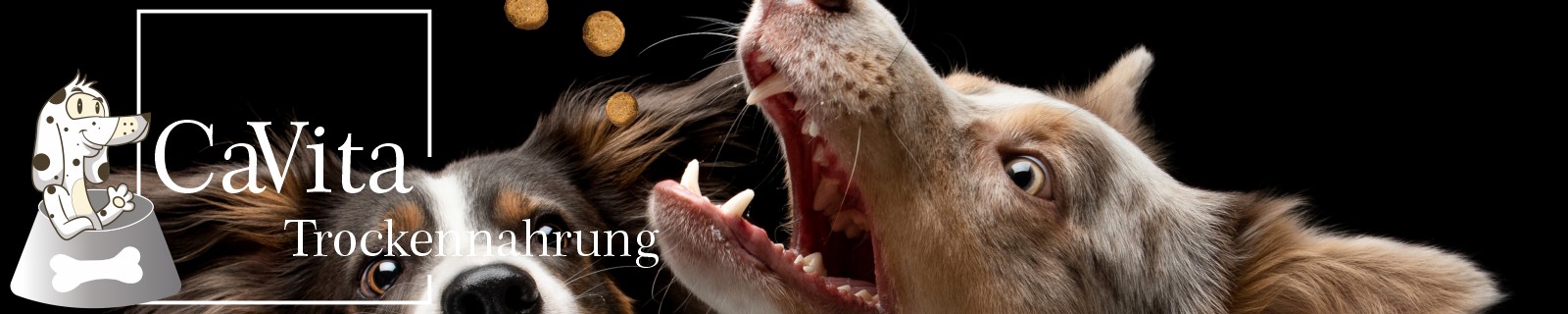 Hundefutter Trockenfutter CaVita Komplettmahlzeit