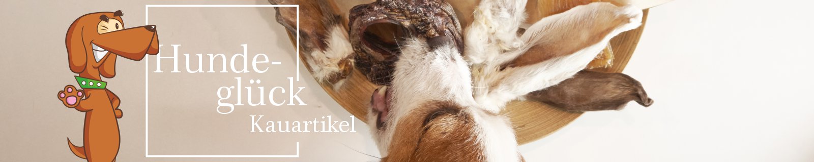 Kauknochen Kauartikel Hund