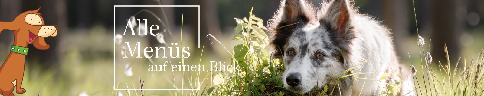 HundeMenüs alle Produkte auf einen Blick