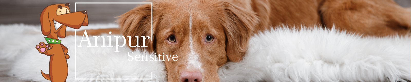 Sensitives Hundefutter für empfindliche Hunde Anipur