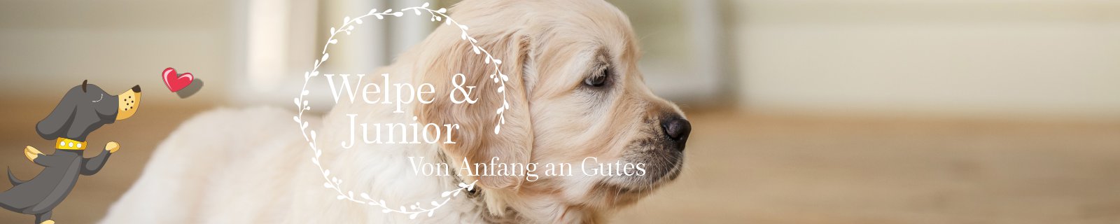 Hundefutter Welpenfutter ab der 8ten Woche