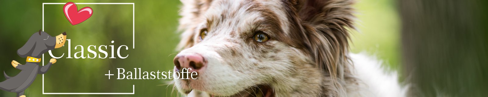 Hundefutter Classic mit Ballaststoffen