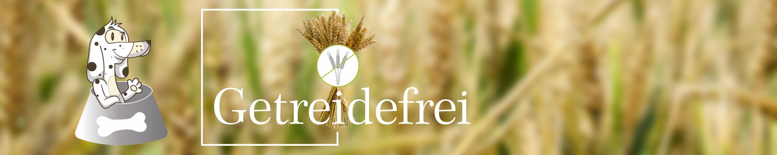 Hundefutter nass und trocken getreidefrei