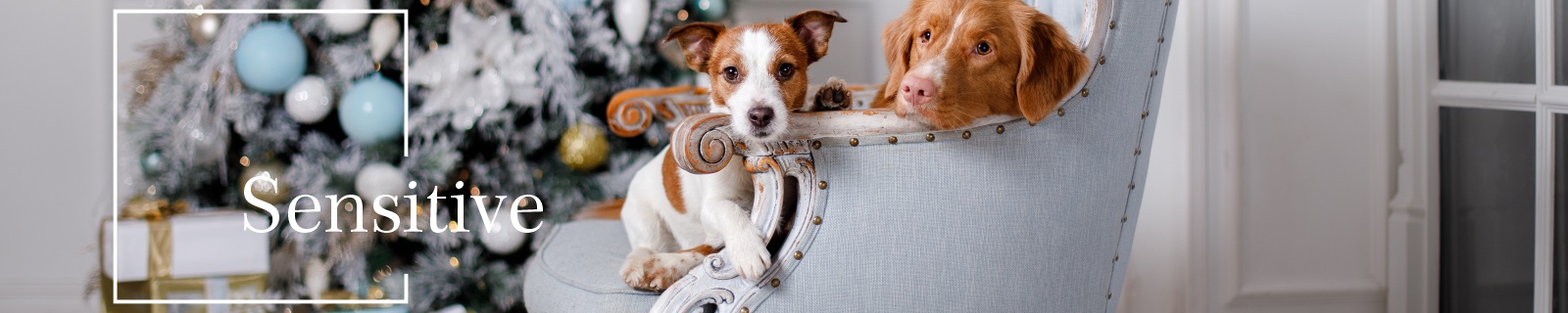 Sensitives Hundefutter für empfindliche Hunde ohne Getreide