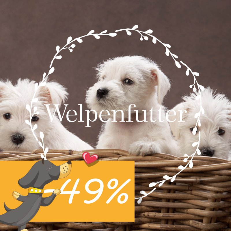 Welpenfutter für Hunde ab der 8ten Woche