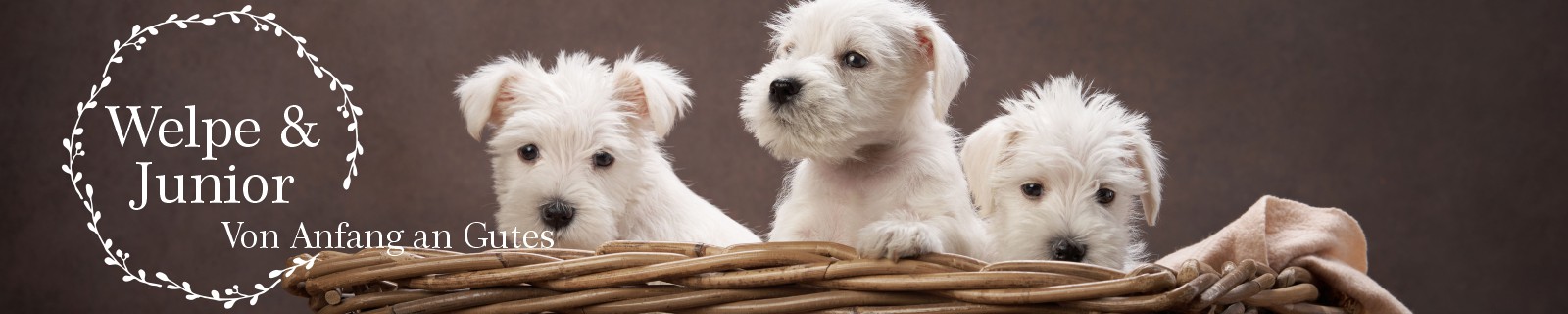 Hundefutter Welpenfutter ab der 8ten Woche