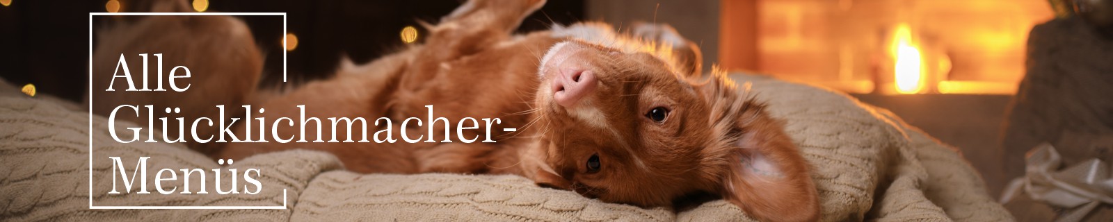 HundeMen&uuml;s alle Produkte auf einen Blick