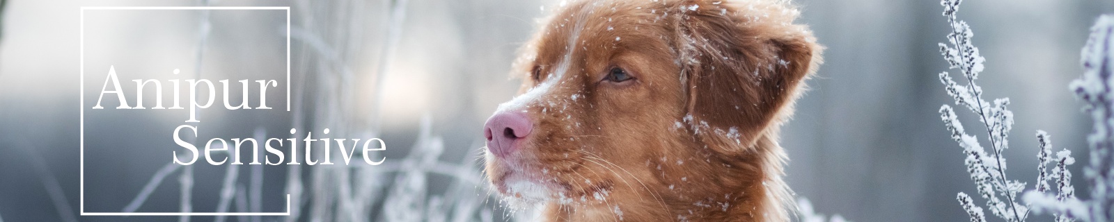Sensitives Hundefutter f&uuml;r empfindliche Hunde ohne Getreide