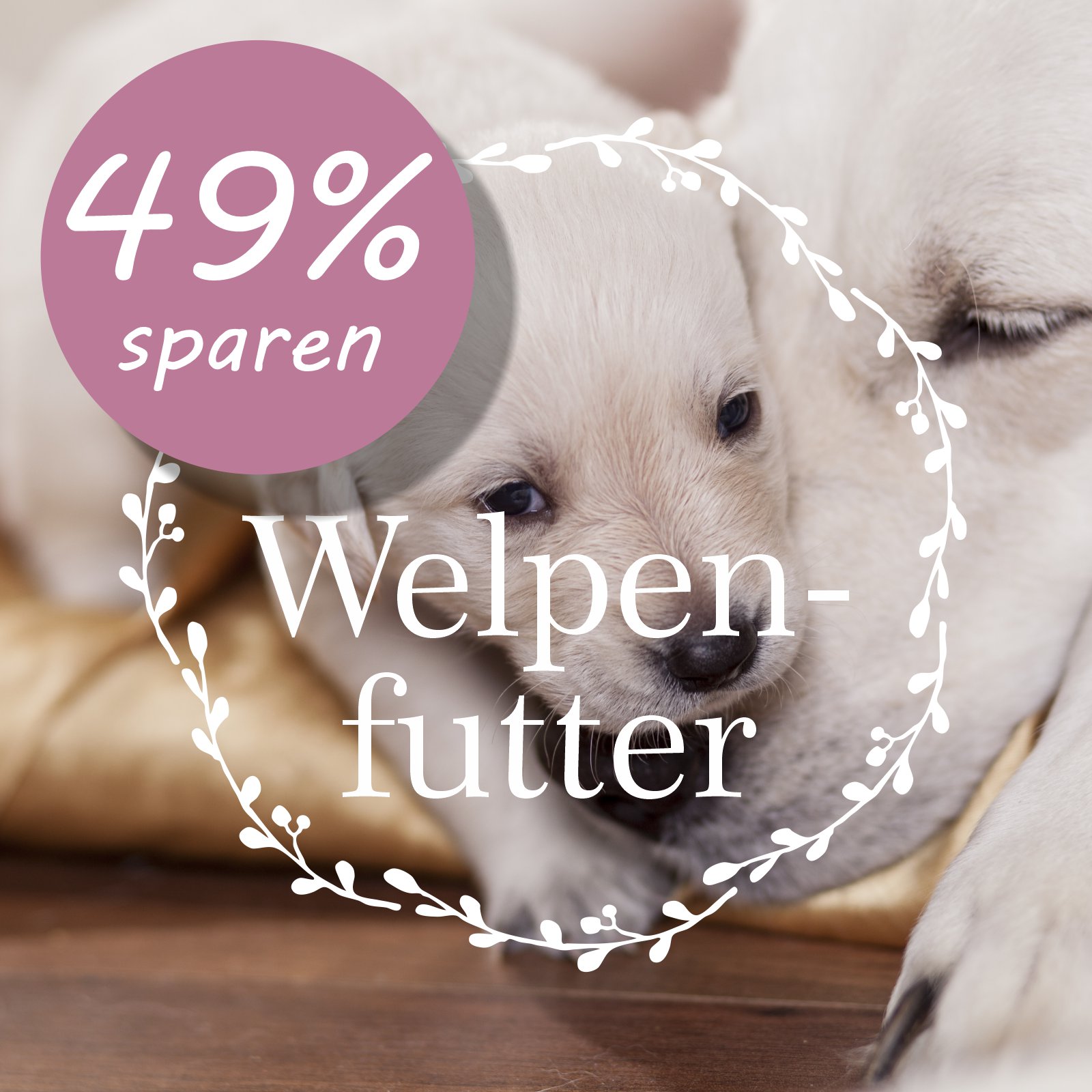 Welpenfutter f&uuml;r Hunde ab der 8ten Woche