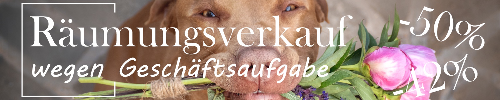 HundeMen&uuml;s alle Produkte auf einen Blick