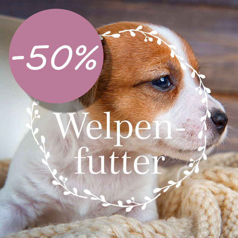 Welpenfutter f&uuml;r Hunde ab der 8ten Woche
