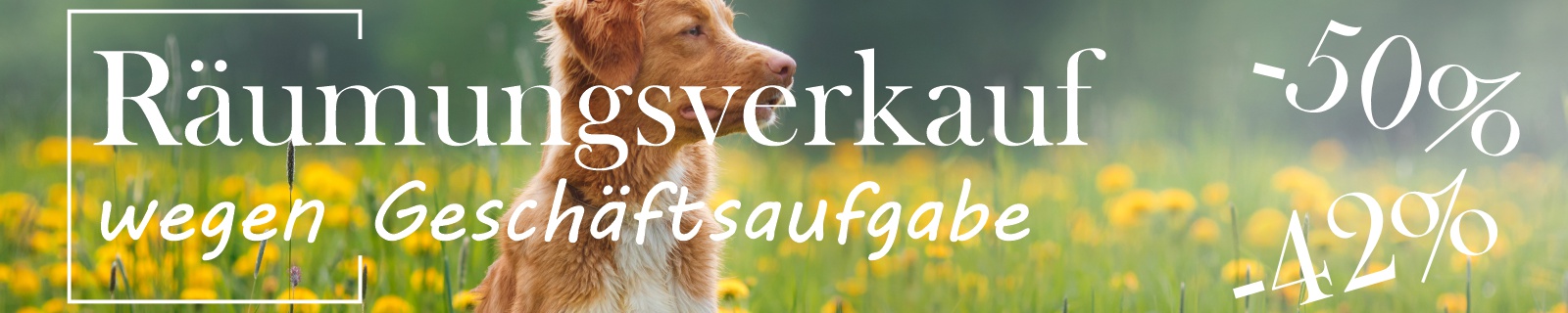 HundeMen&uuml;s alle Produkte auf einen Blick