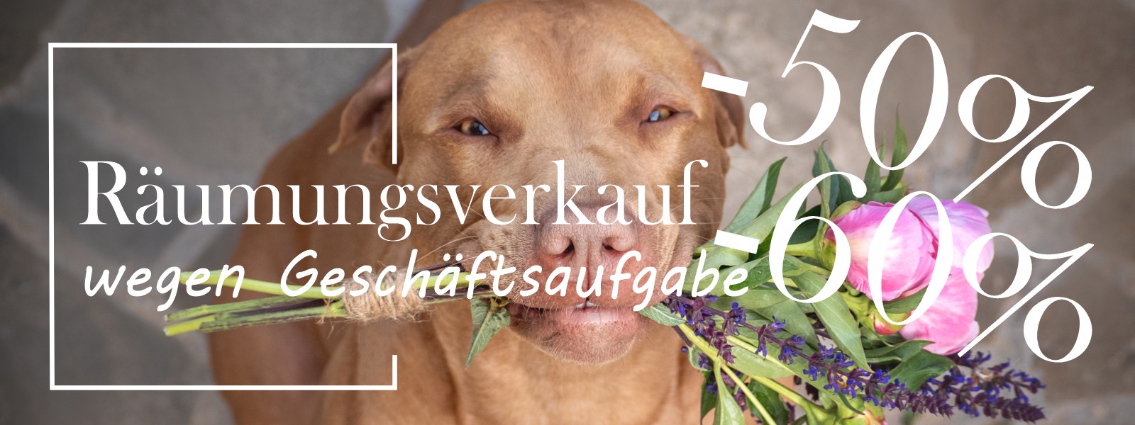 Hundefutter slide5