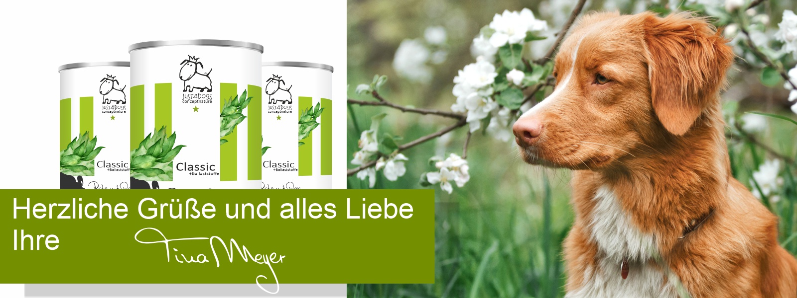 Hundefutter slide1