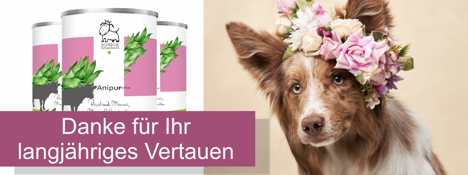 Hundefutter slide2