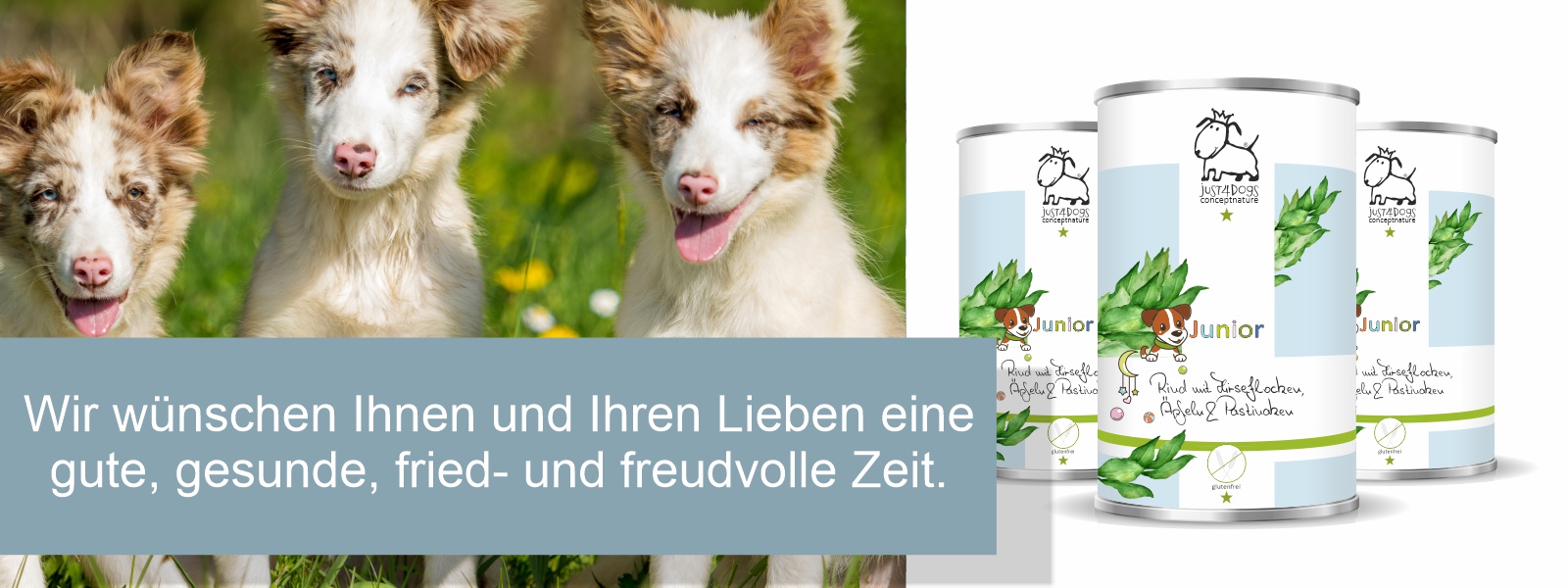Hundefutter slide3