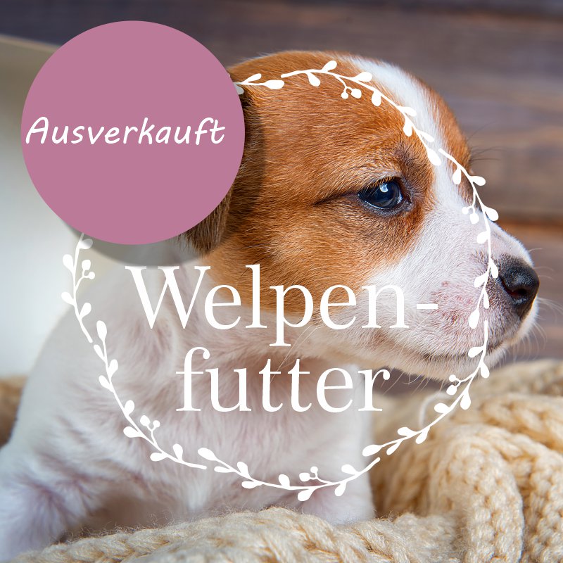 Welpenfutter f&uuml;r Hunde ab der 8ten Woche
